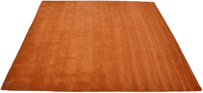 Hand Knotted Loom Wool ECO-Friendly Area Rugs - 6'x6', Square Shape, Orange Color, Plain Solid Design, High Pile Thick Handmade Anti Skid Area Rugs for Living Room, Bed Room (L00111)