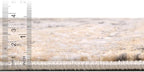 Rugs.com Leipzig Collection Rug – 5x8 Oval Beige Low-Pile Rug Perfect for Living Rooms, Large Dining Rooms, Open Floorplans
