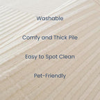 Revival Rugs Record 8'x10’ Washable Area Rug for Living Room Bedroom - 100% Recycled Oeko-TEX Certified, Medium Pile, Beige, Cream