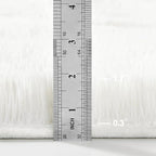 Shag Area Rug, 4 X 6 Plush Fuzzy Rugs for Living Room, Ultra Soft Fluffy Furry Rug for Bedroom, Indoor Carpet Nursery Rugs for Kids Room Home Decor, White