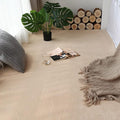 Soft Cashmere Area Rug Luxury Bedside Carpet Bedroom Living Room Mats Solid Color Children's Room Rugs Runner Carpets Indoor Mats Home Décor White Gray Red 2' X 4'
