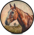 Soft Cozy Horse Print Non Slip Washable Round Rug for Indoors/Outdoors Perfect for Living Room, Bedroom, Entryway, Dorm Room, or Office Room Decor Rug 3ft