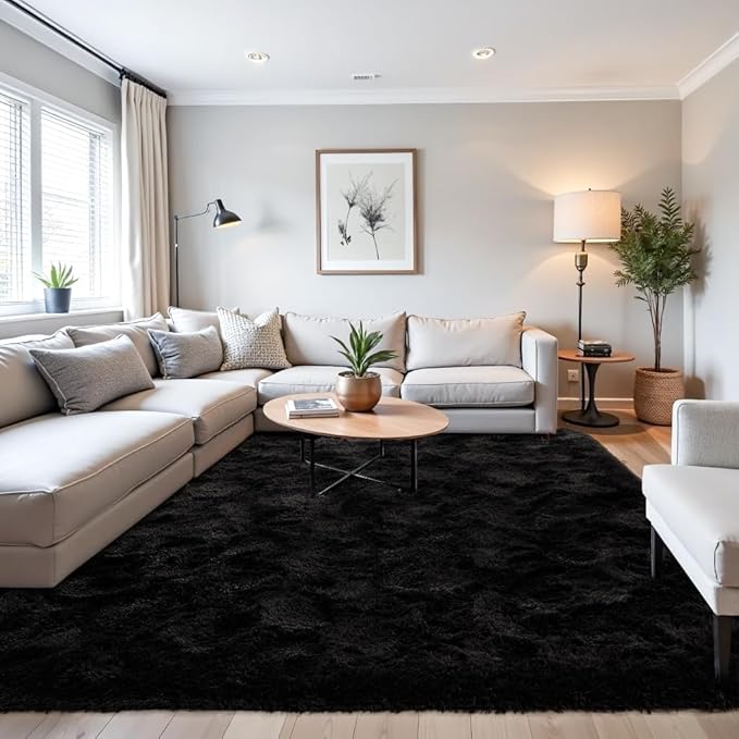 Beglad Fluffy Large Area Rugs 8x10 Feet, Modern Minimalist Style Shag Fuzzy Rugs, Non-Slip Indoor Carpet Soft Rugs for Kids Room, Bedroom & Living Room, Black
