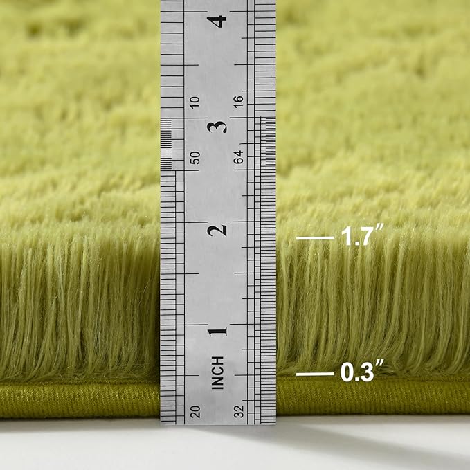 Large Shag Area Rugs 5 x 8, Plush Fuzzy Rugs for Living Room, Ultra Soft Fluffy Furry Rug for Bedroom, Indoor Carpet Nursery Rugs for Kids Room Home Decor, Green