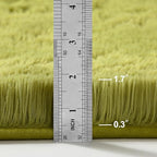 Large Shag Area Rugs 5 x 8, Plush Fuzzy Rugs for Living Room, Ultra Soft Fluffy Furry Rug for Bedroom, Indoor Carpet Nursery Rugs for Kids Room Home Decor, Green