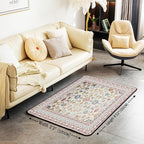 Boho 3x5 Area Rug Vintage Floral Rugs for Living Room | Art Deco Abstract Washable Rug, Retro Tribal Aesthetic Oriental Carpet Indoor Floor Mat