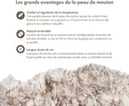 Real Sheepskin Rug 2x6 ft | Sheepskin Rugs for Living Room and Sofa | Bedside Rugs for Bedrooms | Large Fluffy Rug is Breathable & Heat-regulating in Color Snow Peak