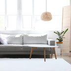 duduta White Soft Fluffy Rug 4x6 ft, Shag Fuzzy Plush Rectangle Carpet for Bedroom Nursery Living Room Home Decor
