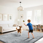 Fluffy Rug Shaggy Area Rug, Grey 4x6 Area Rugs for Bedroom, Small Bedside Rug, Soft Fluffy Shaggy Entryway Throw Rugs for Living Room Bedroom Kids Room Home Decor