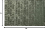 Revival Rugs Shell 6'7"x9' Washable Area Rug for Living Room Bedroom - 100% Recycled Oeko-TEX Certified, Medium Pile, Green