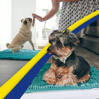 Muddy Mat® Original Dog Door Mat for Muddy Paws, Super Absorbent Microfiber, Non-Slip Washable Pet Rug, Quick Dry Chenille Entryway Carpet, Machine Washable Indoor Outdoor mat, Teal 35"x60"