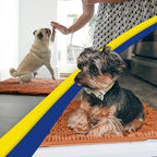 Muddy Mat® | Super Absorbent Door Mat Indoor, Microfiber Quick Dry Chenille Entryway Rug, Non-Slip Front Door Mat, Indoor Mats for Entryway, Machine Washable Pet Rug, Orange XXL 60"X48"