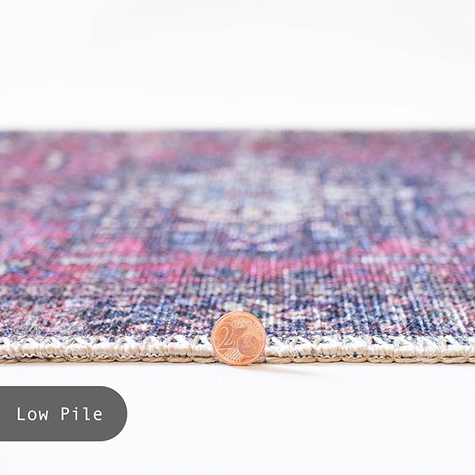 GLN Rugs Traditional Collection - Machine Washable Area Rug, Traditional Washable, Non Slip, Low Pile Chenille Rug, Living Room, Bedroom, Kitchen Rug (3' x 5' Multi Blue)