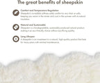 Real Sheepskin Rug 4x6 ft | Sheepskin Rugs for Living Room and Sofa | Bedside Rugs for Bedrooms | Large Fluffy Rug is Breathable & Heat-regulating in Color White