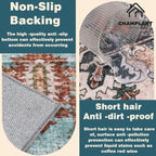 Washable Area Rug 2'x3' Door Mat Vintage Distressed Doormat Indoor Entrance Traditional Thin Rug Floral Print Non Slip Carpet for Kitchen Bathroom Bedroom Living Room