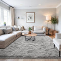 Beglad Fluffy Large Area Rugs 6x9 Feet, Modern Minimalist Style Shag Fuzzy Rugs, Non-Slip Indoor Carpet Soft Rugs for Kids Room, Bedroom & Living Room, Grey