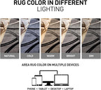 Rugshop Wavy Circles Design Area Rug, Fade-Resistant Carpet for Living Room, Dining Room, or Bedroom, Gray, 5'3" x 7'3"