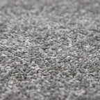 Paco Home Solid Area Rug in Anthracite Modern Plain Design, Size: 2'8" x 4'11"