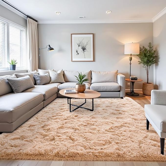 Beglad Shag Rugs for Living Room, Beige Area Rugs 5x7 Feet Upgrade Anti-Skid Modern Minimalist Style Memory Foam Rugs for Bedroom, Indoor Carpet Suitable for Boys Teens Room Decor