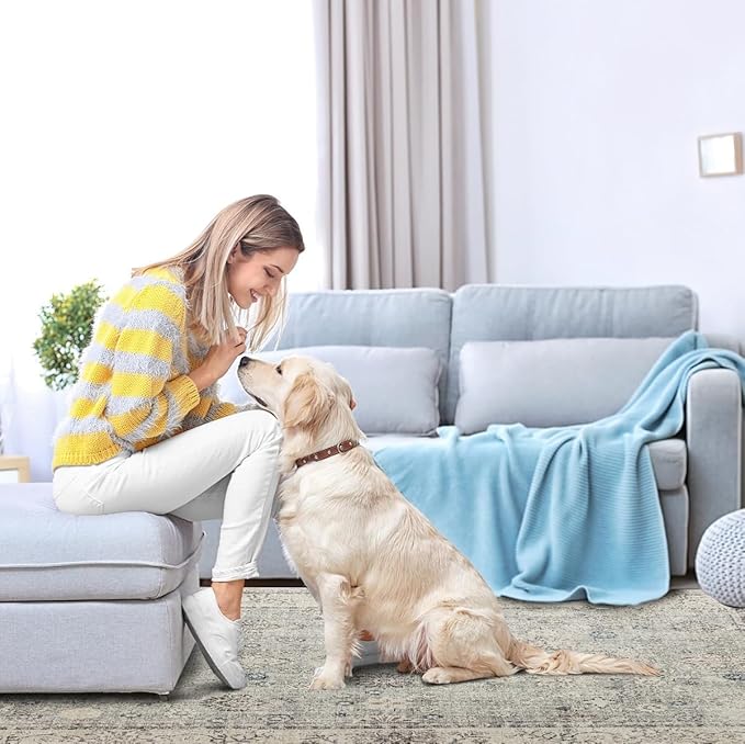 Area Rug Non Slip Machine Washable Ultra Soft Living Room/Bedroom/Kitchen/Outdoor/Classroom Gray, 8'×10'