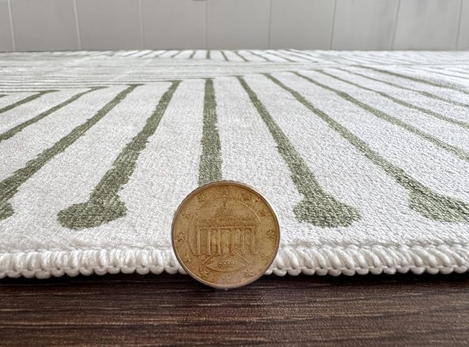 GLN Rugs Contemporary Collection - Machine Washable Area Rug, Contemporary Washable, Non Slip, Low Pile Chenille Rug, Living Room, Bedroom, Kitchen Rug (2' x 3' Green Beige)
