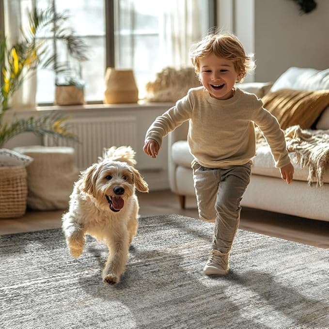 Bavni 8x10 Area Rugs, Modern Low Plie Living Room Rugs, Large Machine Washable Rug Non-Slip, Soft Pet Friendly Rugs for Bedroom, Playroom, Dining Room, Indoor, Granite Gray