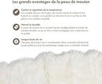 Real Sheepskin Rug 2x6 ft | Sheepskin Rugs for Living Room and Sofa | Bedside Rugs for Bedrooms | Large Fluffy Rug is Breathable & Heat-regulating in Color White