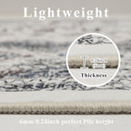 Washable 6x9 Area Rug for Living Room, Carpet for Bedroom Dining Room, Non Slip&Non-Shedding Resistant Low Pile Vintage Print Rug for Home Office (White Cream/Gray)