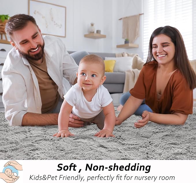Beglad Fluffy Area Rugs 3 x 5 Feet, Modern Minimalist Style Shag Rugs, Non-Slip Indoor Carpet Soft Rugs for Bedroom, Living Room, Grey