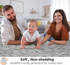 Beglad Fluffy Large Area Rugs 6x9 Feet, Modern Minimalist Style Shag Fuzzy Rugs, Non-Slip Indoor Carpet Soft Rugs for Kids Room, Bedroom & Living Room, Grey