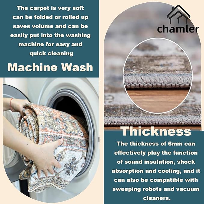 Washable Area Rug 9x12 Boho Chic Medallion Distressed Design Non-Shedding Easy Care Ideal for High Traffic Areas in Rug for Living Room Bedroom Office Coffee Table Large Carpet
