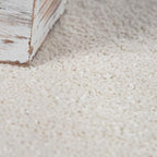 Paco Home Solid Area Rug in Cream Modern Plain Design, Size: 2' x 3'3"
