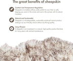 Real Sheepskin Rug 4x6 ft | Sheepskin Rugs for Living Room and Sofa | Bedside Rugs for Bedrooms | Large Fluffy Rug is Breathable & Heat-regulating in Color Snow Peak