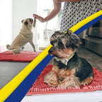 Muddy Mat® Shown on TV – Super Absorbent Microfiber Dog Door Mat for Muddy Paws, Non-Slip Washable Pet Rug, Quick Dry Chenille Entryway Carpet, Machine Washable Indoor Outdoor mat, Red 35"x24"
