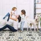 Area Rug Non Slip Machine Washable Ultra Soft Living Room/Bedroom/Kitchen/Outdoor/Classroom White Gray, 4'×6'