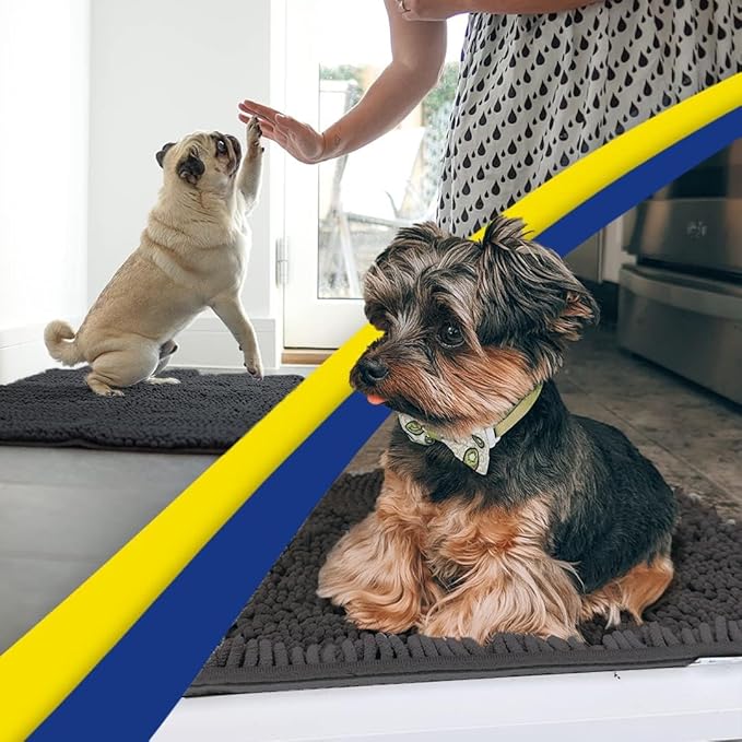 Muddy Mat® | Super Absorbent Door Mat Indoor, Microfiber Quick Dry Chenille Entryway Rug, Non-Slip Front Door Mat, Indoor Mats for Entryway, Machine Washable Pet Rug, Charcoal 48"x72"