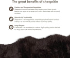 Real Sheepskin Rug 4x6 ft | Sheepskin Rugs for Living Room and Sofa | Bedside Rugs for Bedrooms | Large Fluffy Rug is Breathable & Heat-regulating in Color Chocolate