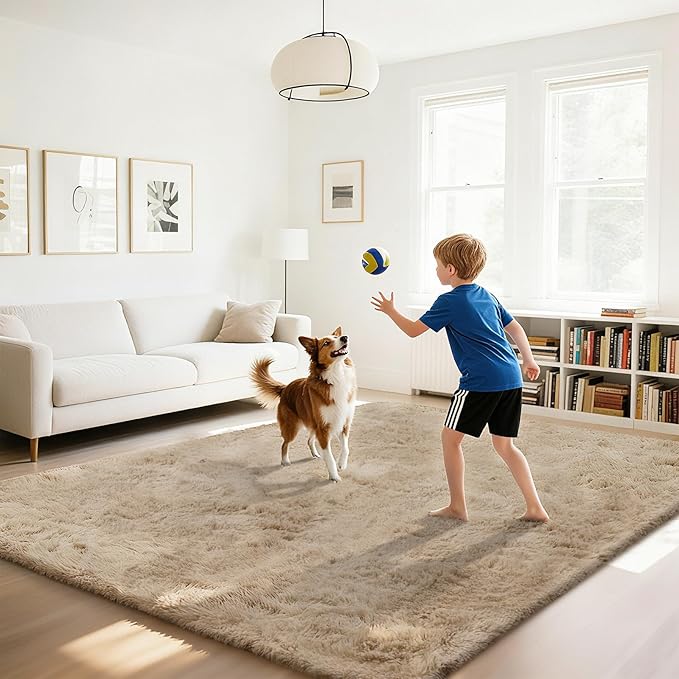 Fluffy Rug Shaggy Area Rug, Beige 4x6 Area Rugs for Bedroom, Small Bedside Rug, Soft Fluffy Shaggy Entryway Throw Rugs for Living Room Bedroom Kids Room Home Decor