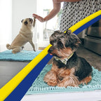 Muddy Mat® Original Dog Door Mat for Muddy Paws, Super Absorbent Microfiber, Non-Slip Washable Pet Rug, Quick Dry Chenille Entryway Carpet, Machine Washable Indoor Outdoor mat, Seafoam Green 48"x72"
