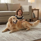 Garvee Modern Area Rug for Bedroom 5x7 Throw Rugs for Living Room, Machine Washable Area Rugs with Rubber Backing, Non Shedding Low Pile Carpet Stain Resistant Soft Mats for Nursery Dining Room, Camel