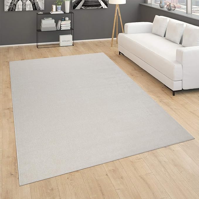 Paco Home Solid Area Rug in Cream Modern Plain Design, Size: 2'8" x 4'11"