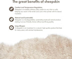 Sheepskin Long Hair 2x3 ft | Bedside Rugs for bedrooms, Sofa, Chair or The Dining Table | Each Sheepskin Rug is Unique and Created by Nature | Small Fluffy Rug in Color Beige