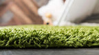 Unique Loom Solid Shag Collection Area Rug (3' 3" x 5' 3" Rectangle, Grass Green)
