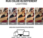 Rugshop Contemporary Abstract Circles Perfect for high Traffic Areas of Your Living Room,Bedroom,Home Office,Kitchen Area Rug 5'3" x 7'3" Multi