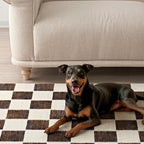 EVERGRACE Checkered Plaid Area Rug, 9x12, Soft Faux Wool, Washable, Anti Slip, Large Carpet for Entryway, Bedroom, Living Room, Hallway, Kitchen, Dining Room, Dark Brown