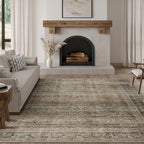 FMFUNCTEX 6x9 Washable Area Rug Brown Vintage Neutral Distressed Large Non Slip Carpet for Living Room Bedroom Soft Low Pile Indoor Mat Retro Throw Rug for Dining Room Kitchen Office Nursery, Multi