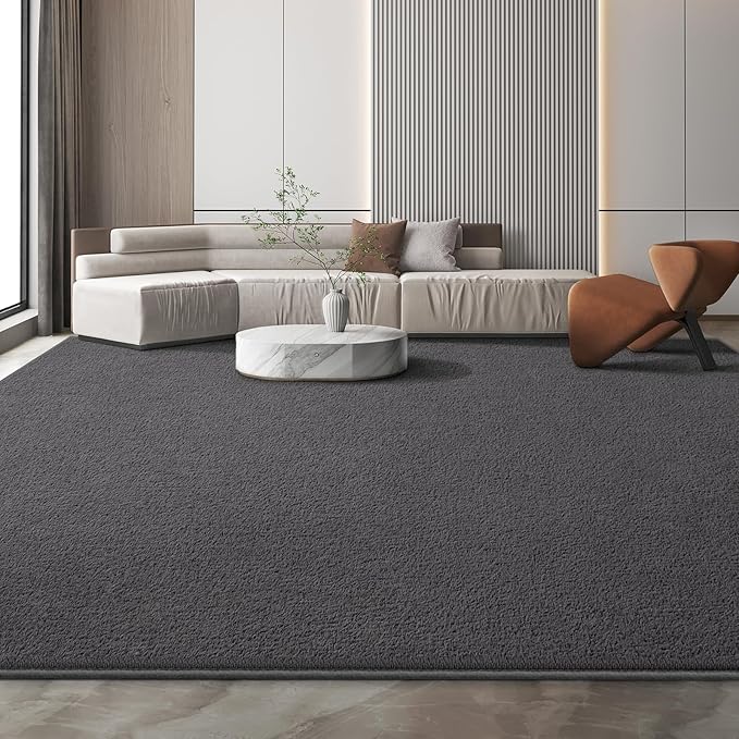 Modern Large Area Rug for Bedroom Living Room, 4x6 Feet Dark Grey Thickened Memory Foam Washable Rugs, Non-Slip Soft Minimalist Solid Indoor Carpets for Boys Girls Nursery Room Décor