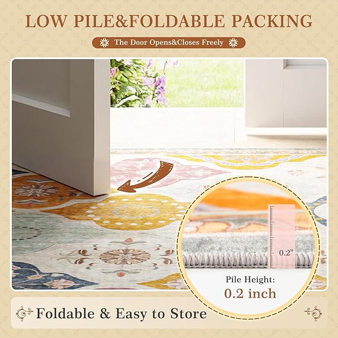 EnHomee Area Rugs 3x5, Soft Washable Rugs for Living Room Bedroom, Boho Non Slip Low Pile Stain Resistant Washable Rug Large Carpet for Dining Room,Easy to Clean Living Room Rug, Colorful