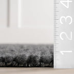 Nuloom Penelope Charcoal, 5' x 8', Hand-Braided, Wool & Cotton, Soft and Textured, High Traffic, Stain Resistant, Easy Clean, Durable Area Rug for Bedroom, Living Room, Dining, Foyer, Entryway