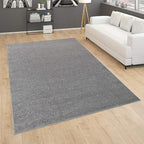 Paco Home Solid Area Rug in Anthracite Modern Plain Design, Size: 2'8" x 4'11"
